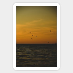 Sunset on Lake Michigan Sticker